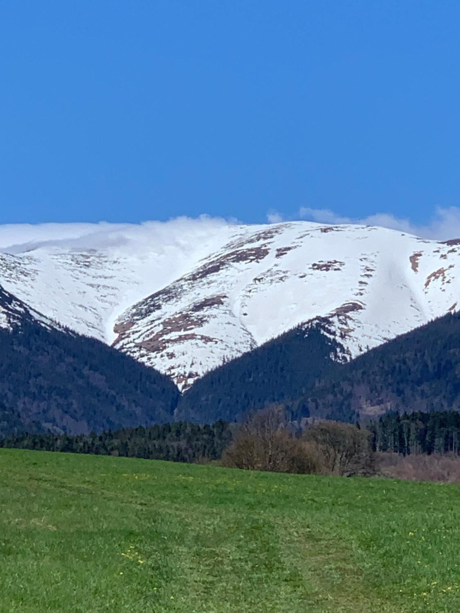 Villa Vila Nizke Tatry Horná Lehota Exterior foto